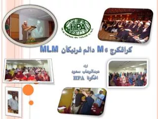 6 m mlm