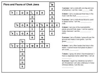 1 across: I am a crab with one big and one small pincer. I am the male _______ crab.