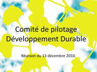 comit de pilotage d veloppement durable