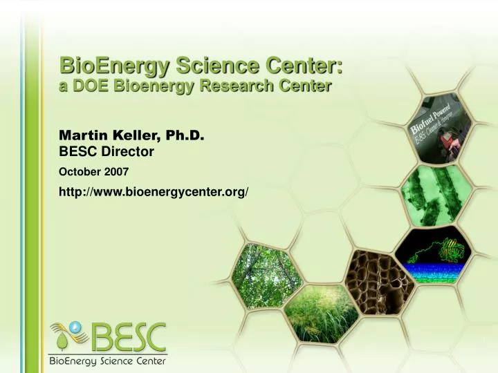 bioenergy science center a doe bioenergy research center