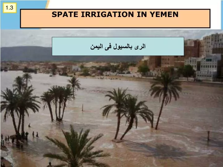 spate irrigation in yemen