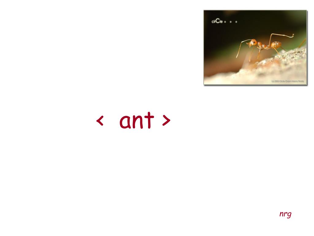 PPT - Comprehensive Guide to Apache Ant: Build Automation Tool for Java ...