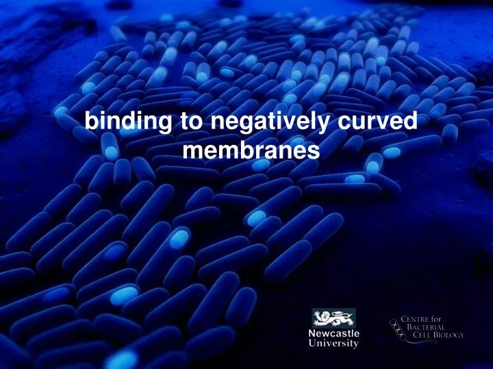 binding to negatively curved membranes
