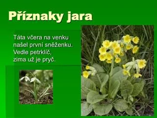 p znaky jara