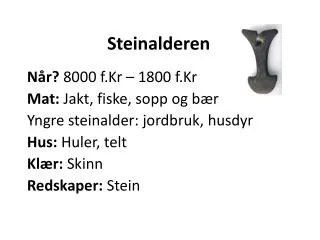 steinalderen