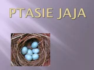 ptasie jaja
