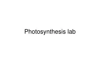 Photosynthesis lab