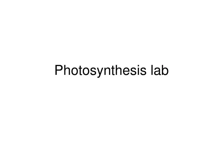 photosynthesis lab