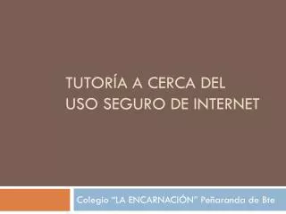 tutor a a cerca del uso seguro de internet