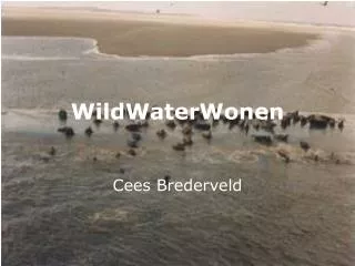 cees brederveld