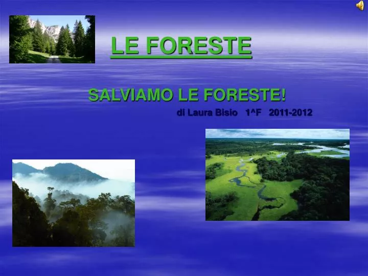 le foreste