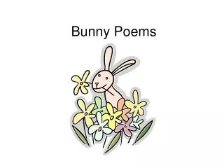 Bunny Poems