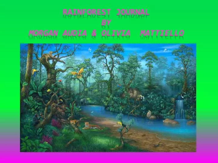 rainforest journal by morgan audia olivia mattiello