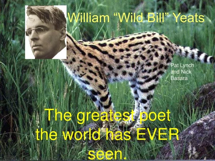 william wild bill yeats