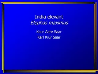 India elevant Elephas maximus