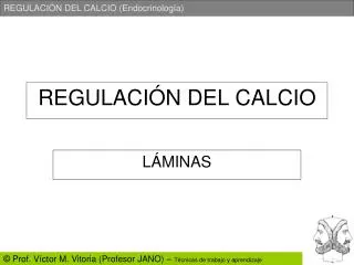 regulaci n del calcio
