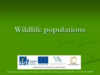 Wildlife population s
