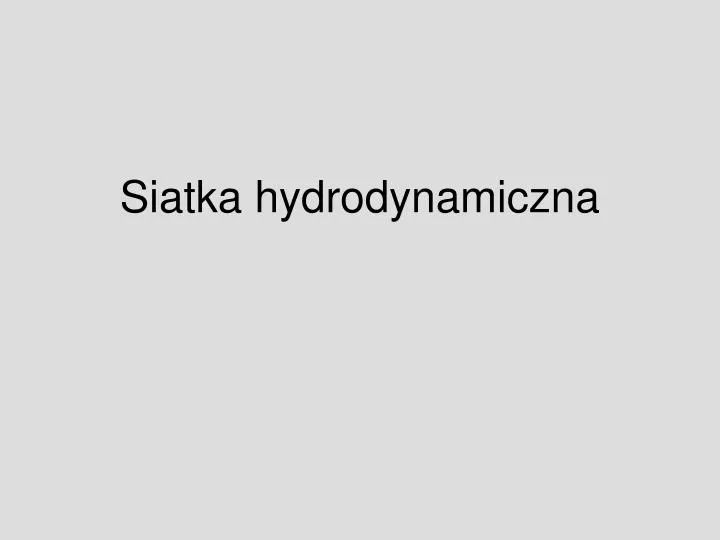 siatka hydrodynamiczna