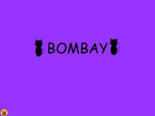 bombay