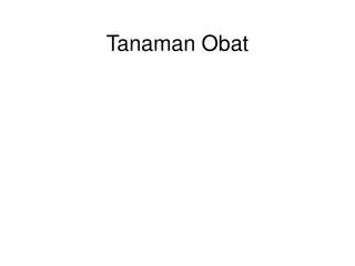 tanaman obat