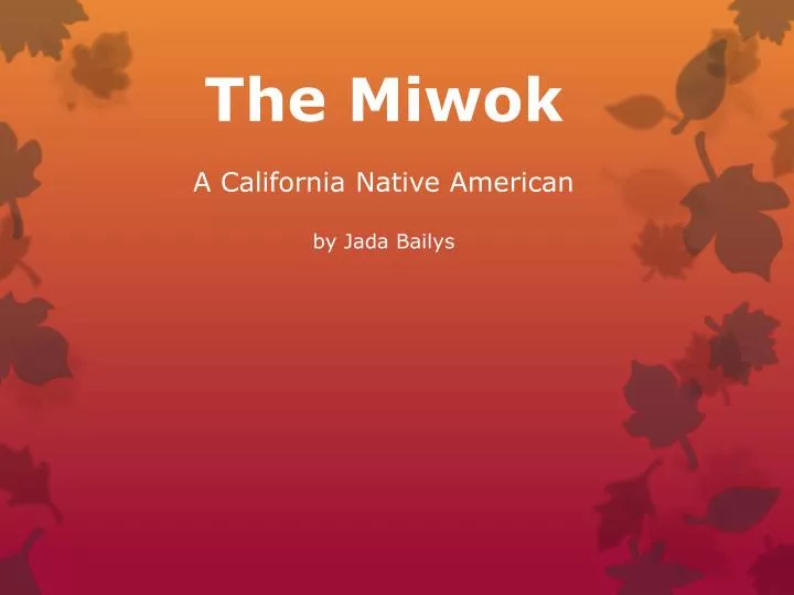 the miwok a california native american by jada bailys