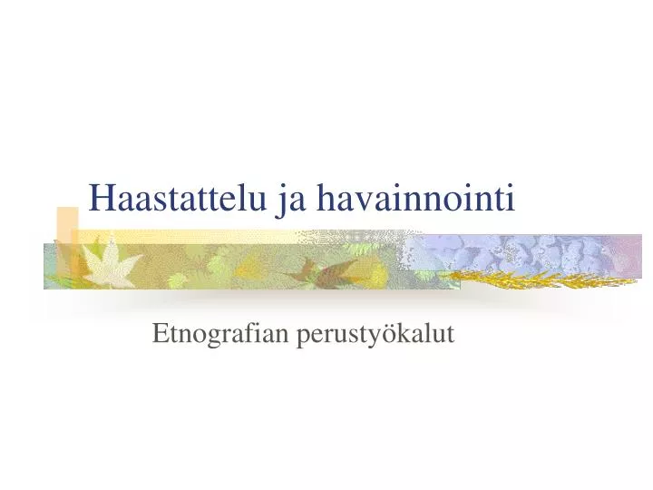 haastattelu ja havainnointi