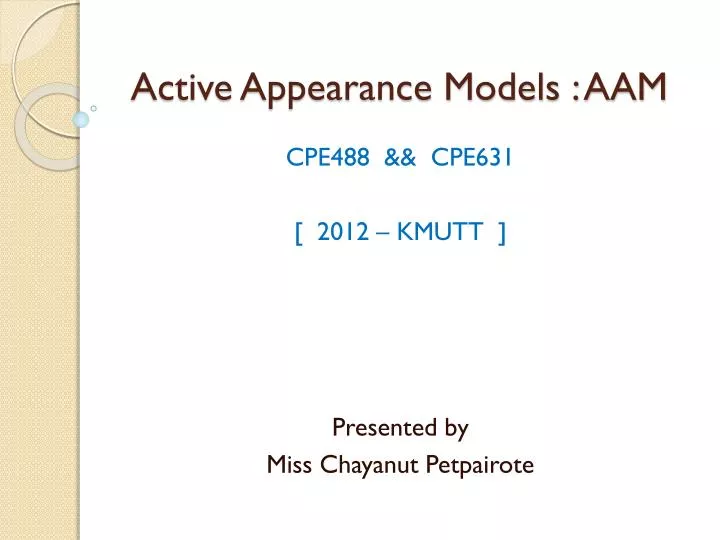 active appearance models aam