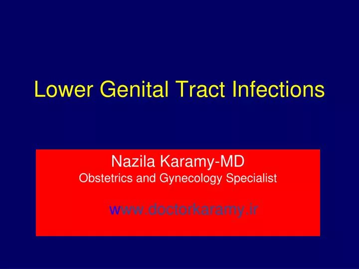 lower genital tract infections