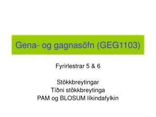 gena og gagnas fn geg1103