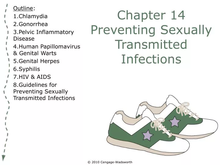 chapter 14 preventing sexually transmitted infections