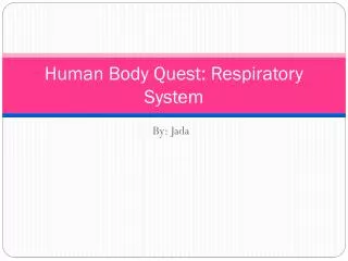 Human Body Quest: Respiratory System