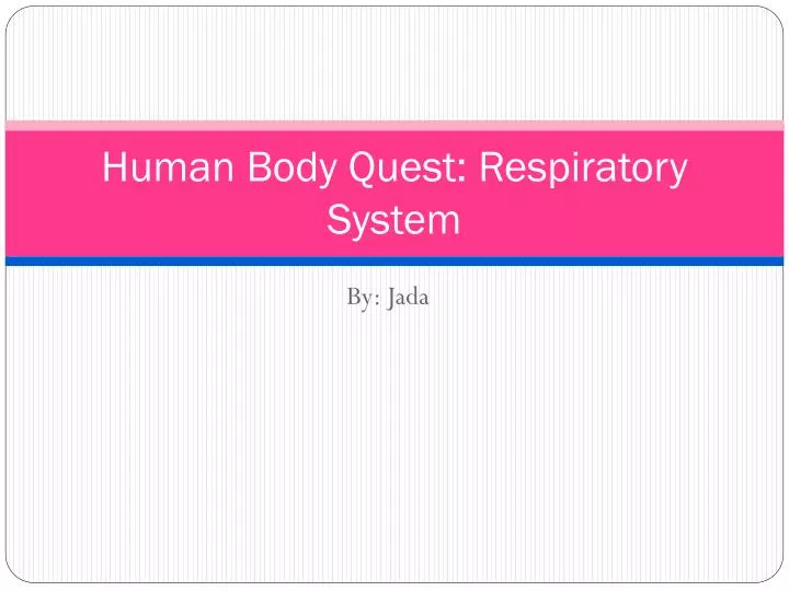 human body quest respiratory system