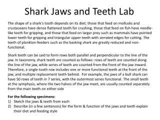 Shark Jaws and Teeth Lab