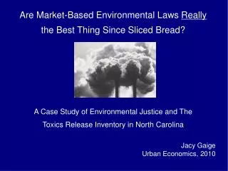 Are Market-Based Environmental Laws Really the Best Thing Since Sliced Bread?