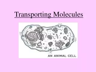 Transporting Molecules