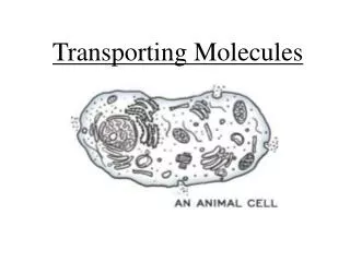 transporting molecules