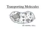 Understanding Diffusion and Osmosis: How Molecules Move Across Membranes - slide 1