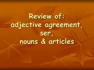 Review of: adjective agreement, ser, nouns &amp; articles