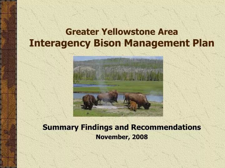 greater yellowstone area interagency bison management plan