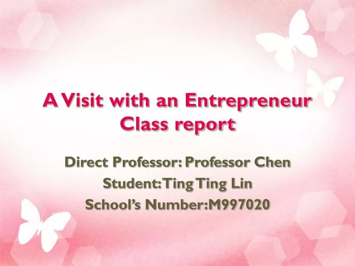 a visit with an entrepreneur class report
