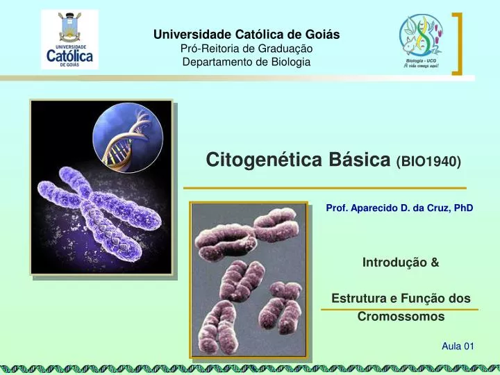 universidade cat lica de goi s pr reitoria de gradua o departamento de biologia