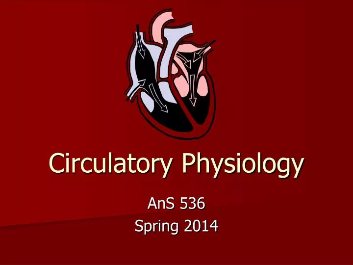 circulatory physiology