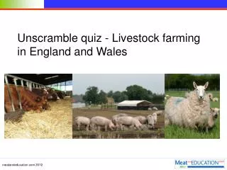 Unscramble quiz - Livestock farming in England and Wales
