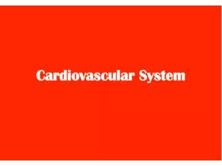 The	Cardiovascular	System
