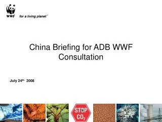China Briefing for ADB WWF Consultation