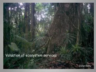 Major terrestrial ecosystems