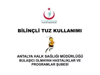 b l n l tuz kullanimi