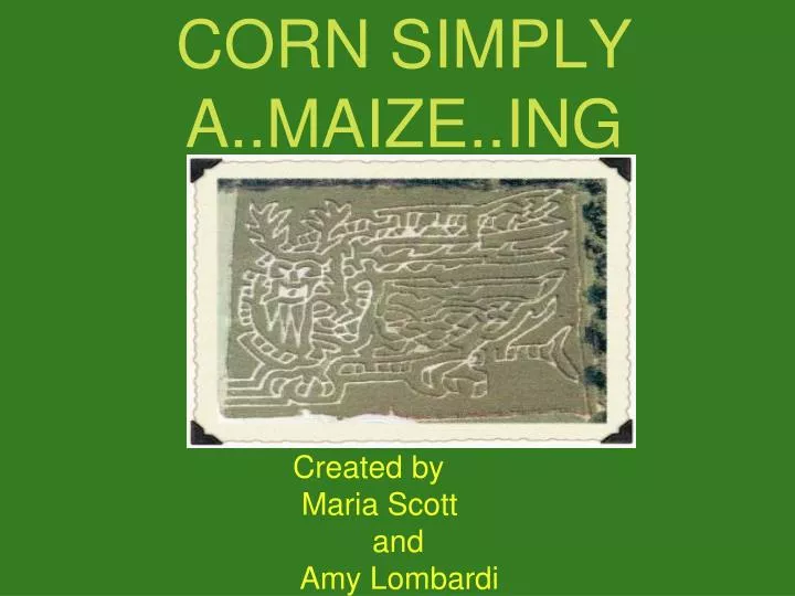corn simply a maize ing