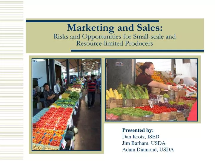 marketing and sales risks and opportunities for small scale and resource limited producers