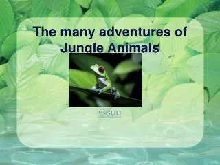 the many adventures of jungle animals